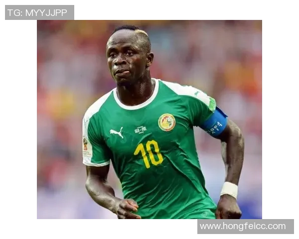 卡塔尔足球队球星名单解析及其在国际赛场的表现与未来展望